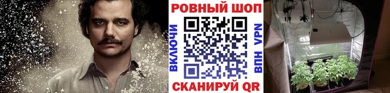 Где купить Шуя Бошки Шишки COCAIN Меф мяу мяу
