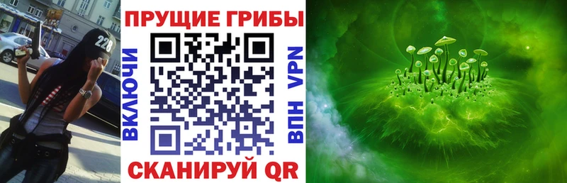 Псилоцибиновые грибы Cubensis  hydra ссылки  Шуя 